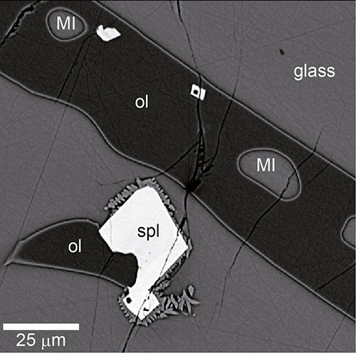 Rückstreuelektronenbild eines Experiments bei 10kbar und 1210°C mit den Phasen Olivin (ol), Spinell (spl), Schmelzeinschlüssen (MI) und Glas (glass = eingefrorene Schmelze)
