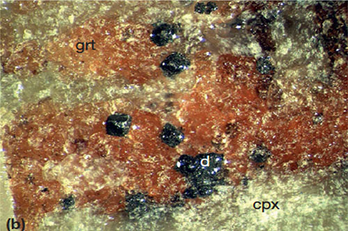 Graphitisierte Diamanten (d) in einem Granat (grt) Pyroxen (cpx) Fels vom Kokchetav Massif in Kazachstan. Länge des Bildes: 4 mm